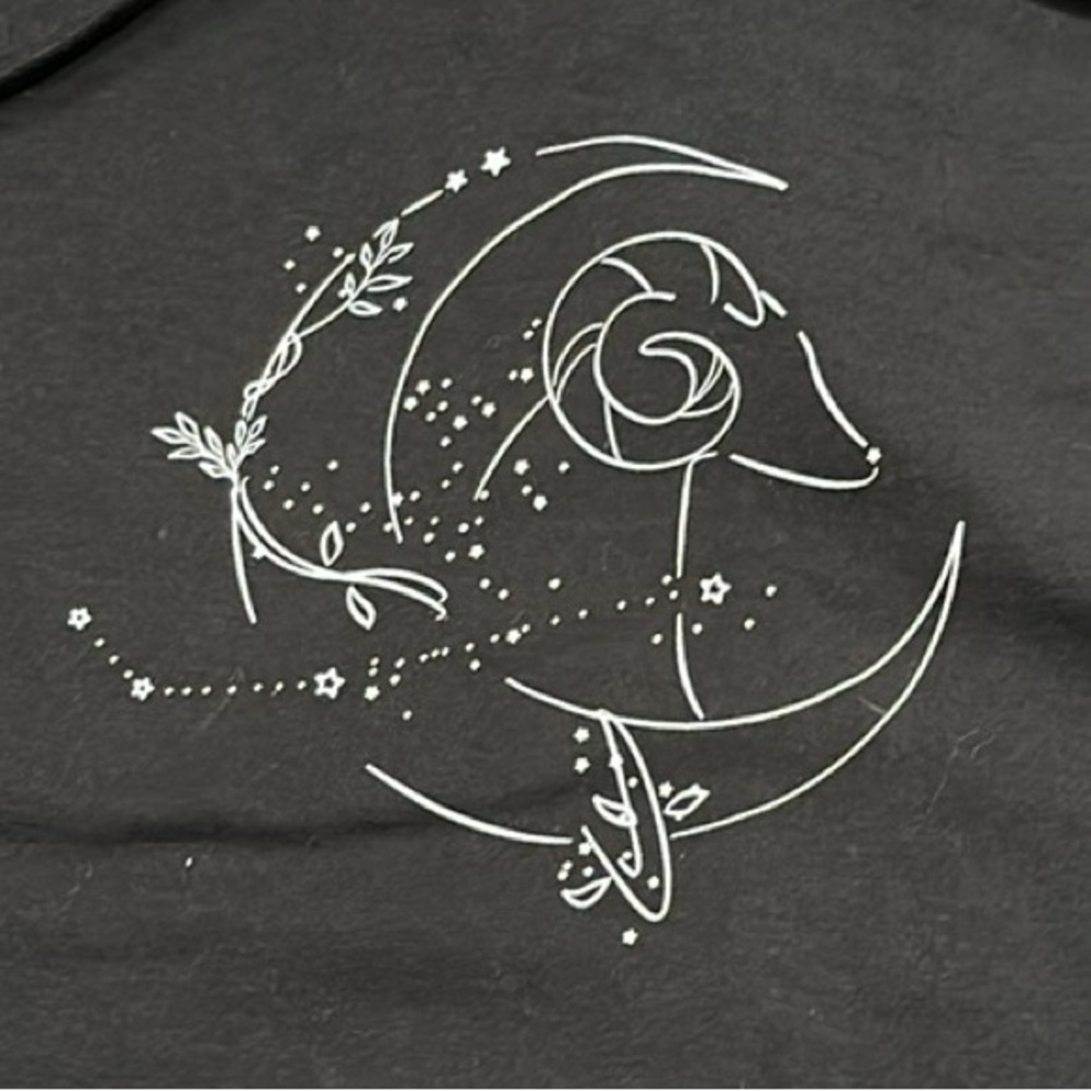 Splendid Aries Zodiac Hoodie